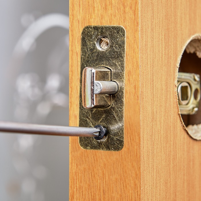 High-security smart lock with keyless entry features